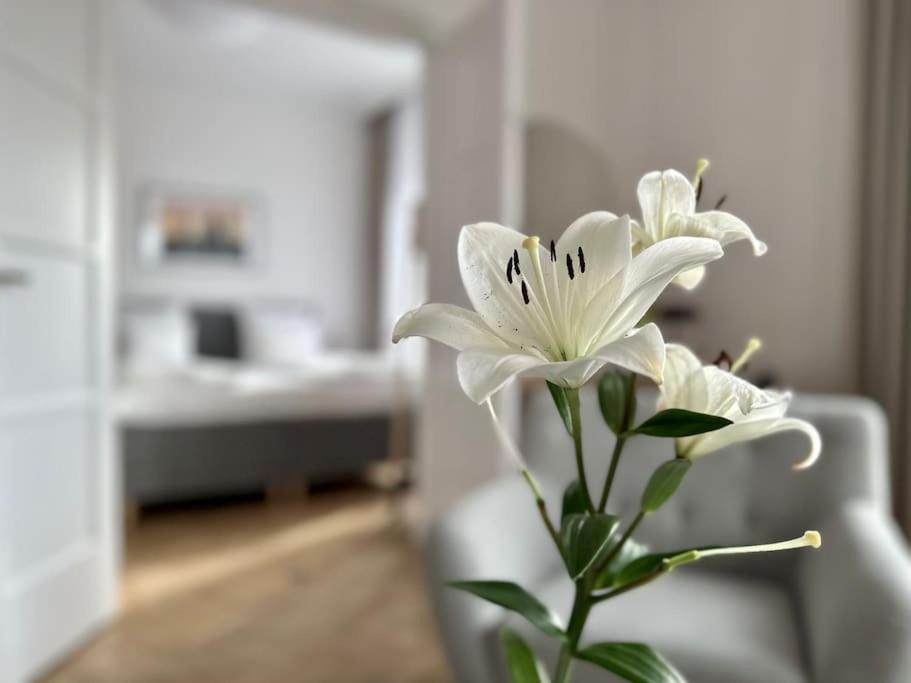 בודפשט Premium Apartment By Hi - Central 2 Bedroom - Best View מראה חיצוני תמונה